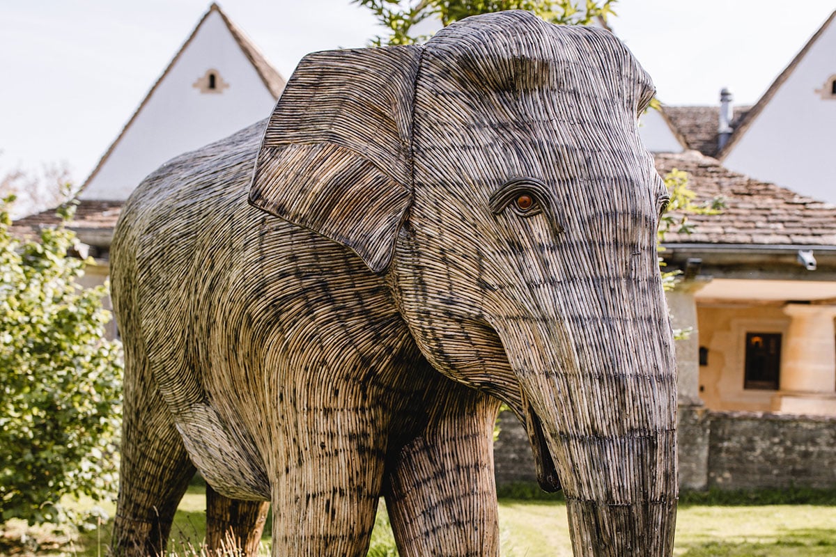Meet the Elephant Family: A Touching Addition to Highgrove Gardens