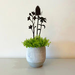 Wildflower Pot Stem Decoration Lifestyle