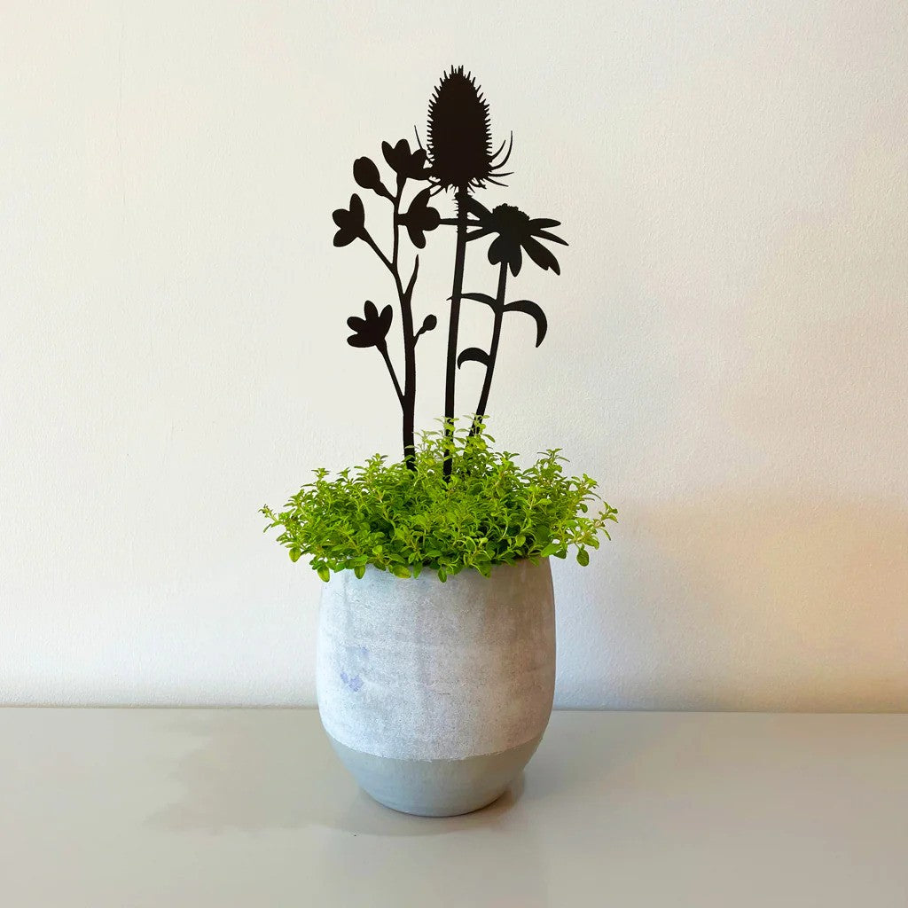 Wildflower Pot Stem Decoration Lifestyle