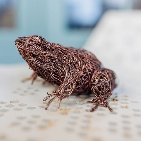 Frog Bronze Wire Sculpture