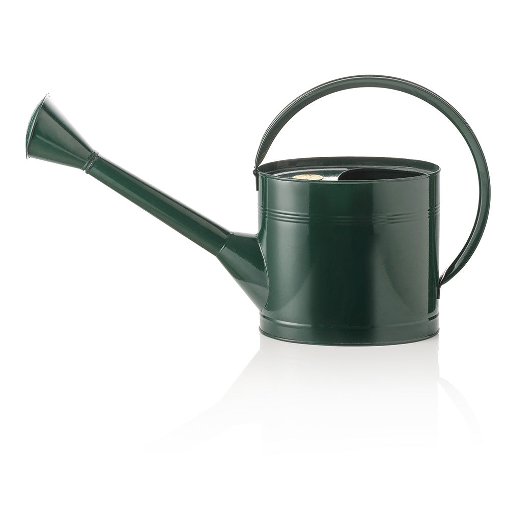 A classic dark green metal watering can with a long spout and a curved carrying handle, shown on a clean white background with a soft reflection underneath.