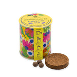 Highgrove Wildflower Grow Kit (Forget-Me-Not)