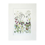 Highgrove Wildflower Meadow Clover and Cow Parsley Print