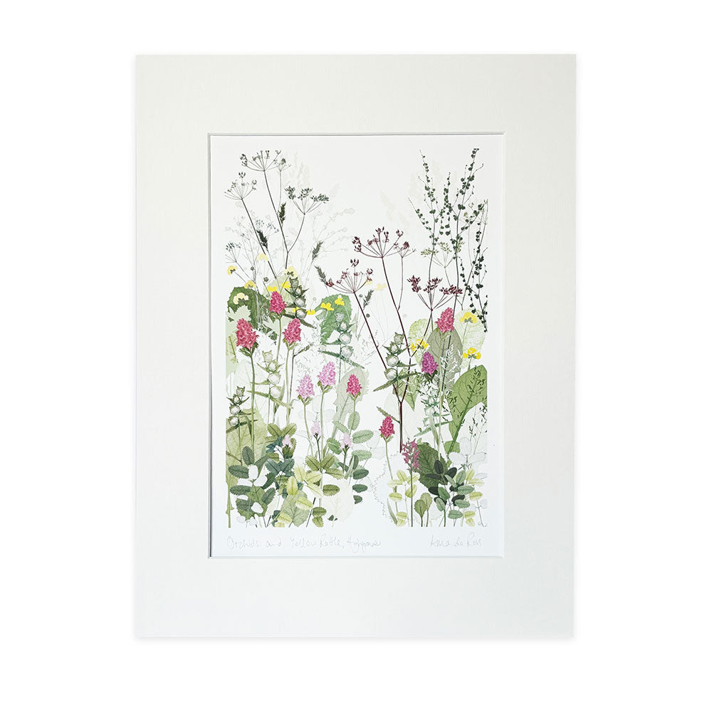 Highgrove Wildflower Meadow Orchids and Yellow Rattle Print