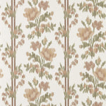 Apothocary Rose Parchment & Olivine