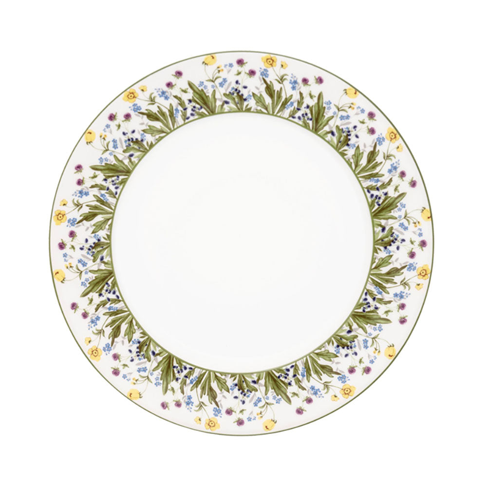 10 inch dinner best sale plates