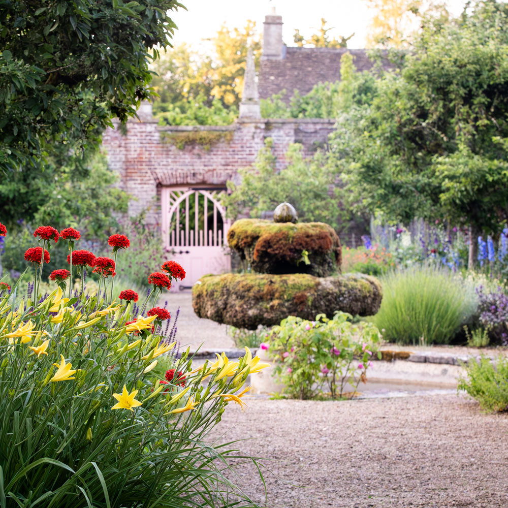 The Kitchen Garden Experience