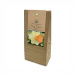 Narcissus ‘King Charles’ Bulbs (Pack of 5)