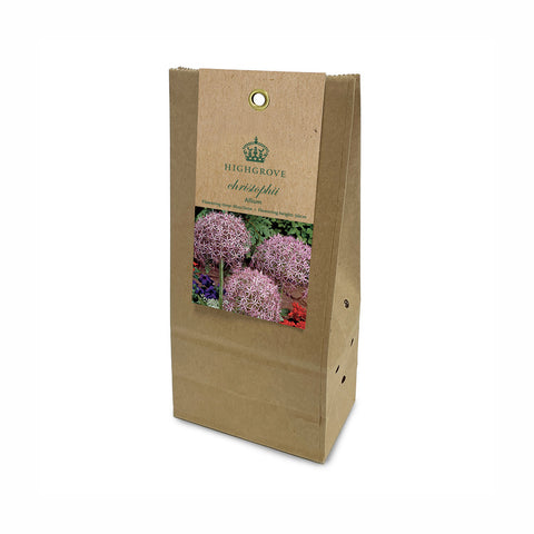 Allium ‘christophii’ Bulbs (Pack of 7)