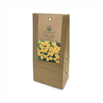 Narcissus ‘Sun Disc’ Bulbs (Pack of 15)