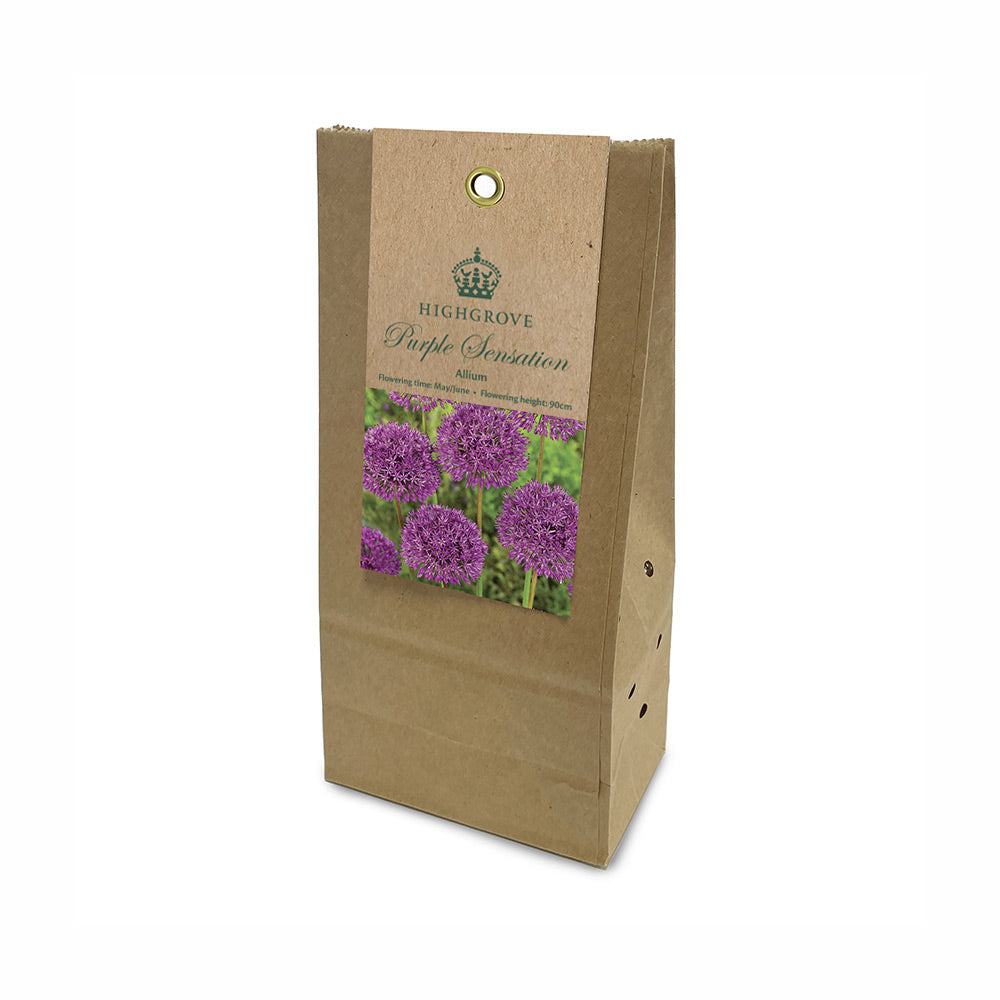 Allium ‘Purple Sensation’ Bulbs (Pack of 9)