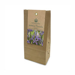 Camassia ‘leichtlinii Caerulea’ Bulbs (Pack of 3)