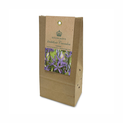 Camassia ‘leichtlinii Caerulea’ Bulbs (Pack of 3)