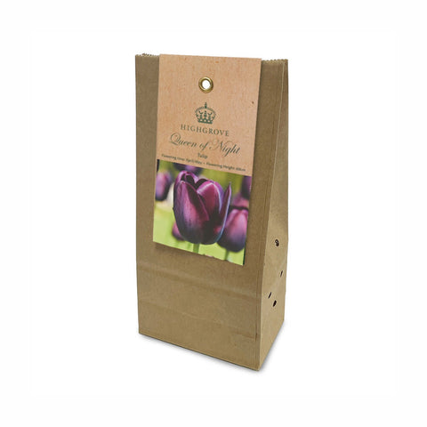 Tulip ‘Queen of Night’ Bulbs (Pack of 7)