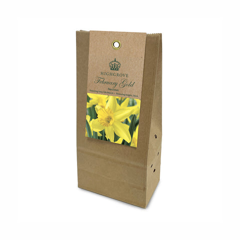 Narcissus ‘February Gold’ Bulbs (Pack of 12)