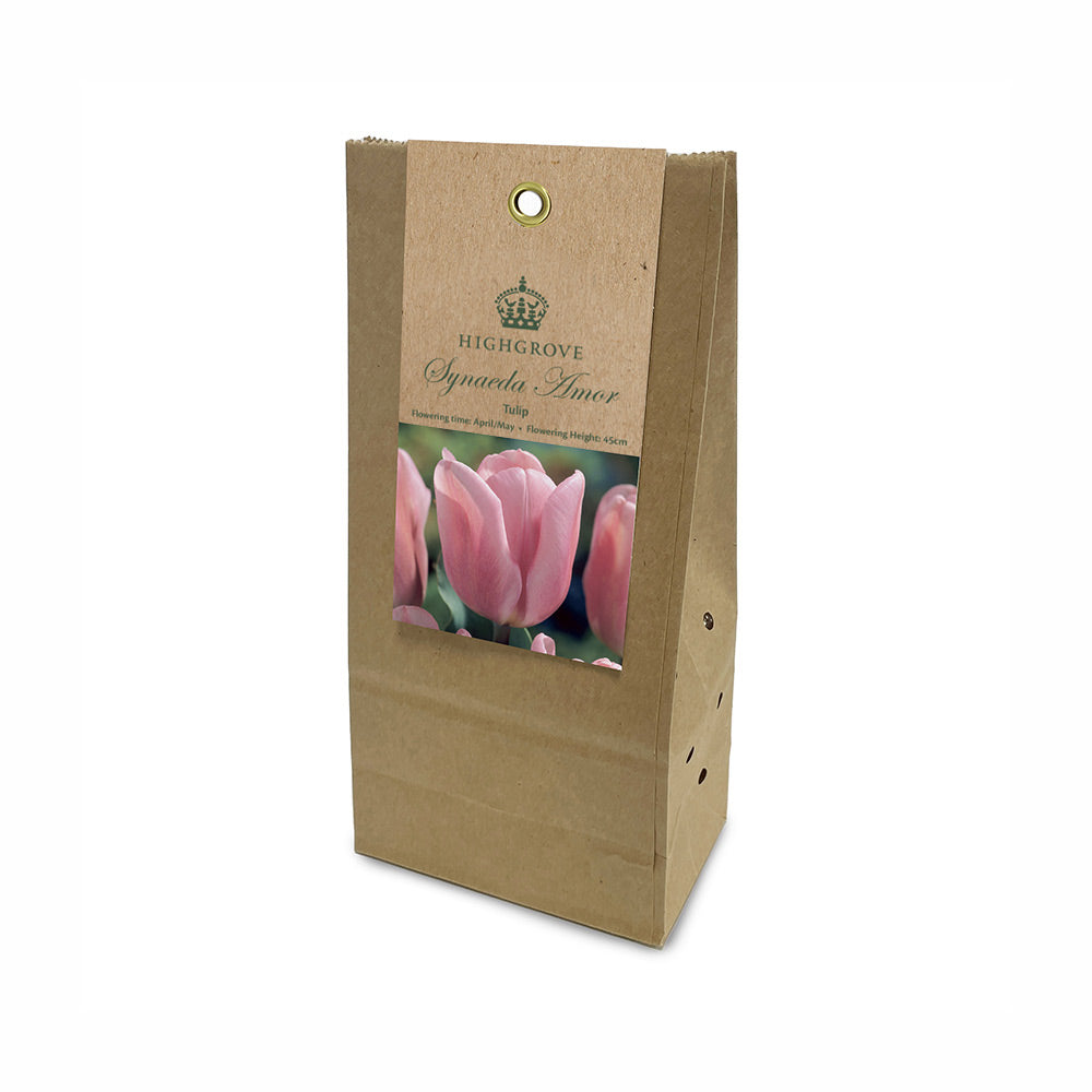 Tulip ‘Synaeda Amor’ Bulbs (Pack of 10)