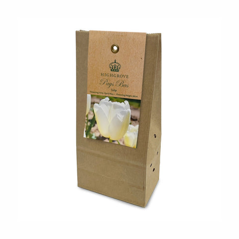 Tulip 'Pays Bas' Bulbs (Pack of 7)