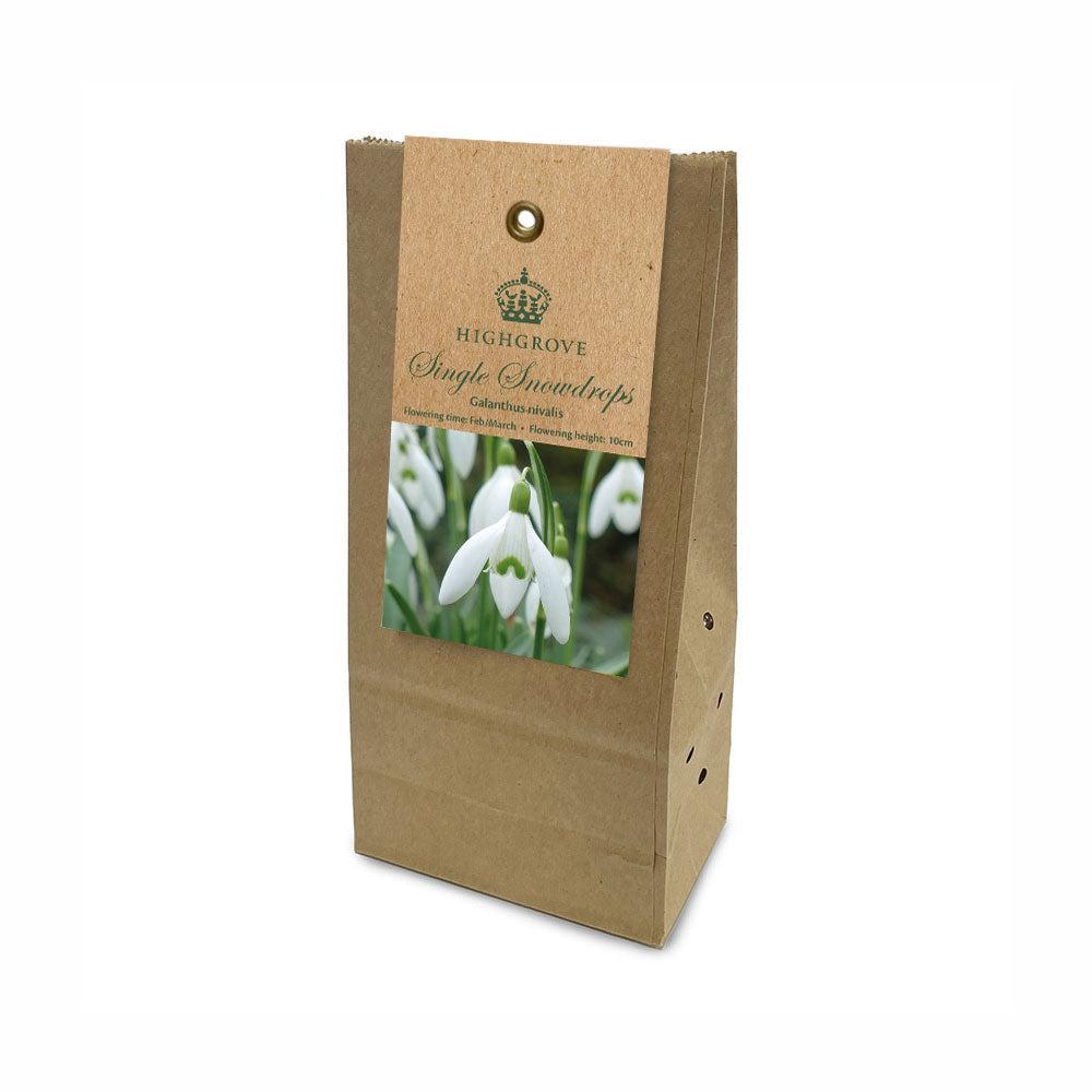 A brown kraft paper hanging packet for Highgrove Single Snowdrops, featuring a label with a photo of white snowdrops and the Highgrove brand name.