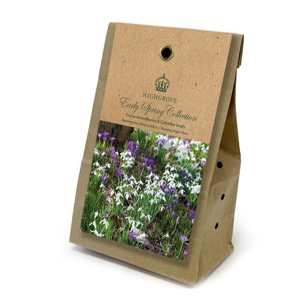 Early Spring Collection 'Crocus Remembrance & Galanthus nivalis' Bulbs (Pack of 20)