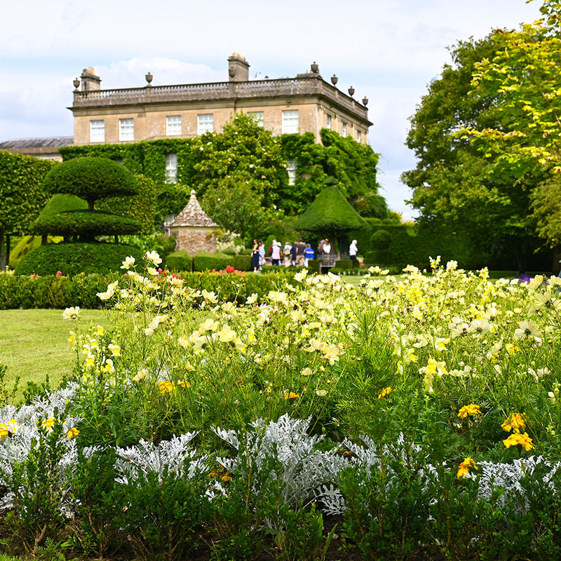 Perennials and Ornamentals Garden Experience