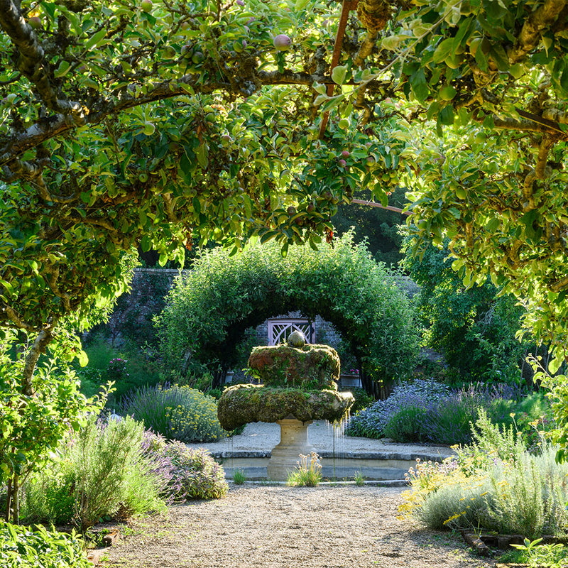 Private Champagne Tea and Garden Tour