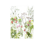 Highgrove Wildflower Meadow Orchids and Yellow Rattle Greeting Card