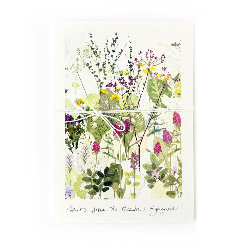 Highgrove Wildflower Meadow Concertina Book