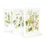 Highgrove Wildflower Meadow Concertina Book