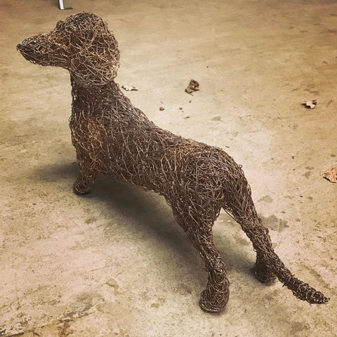 Dachshund Willow Weaving Workshop 2026 (One-Day)