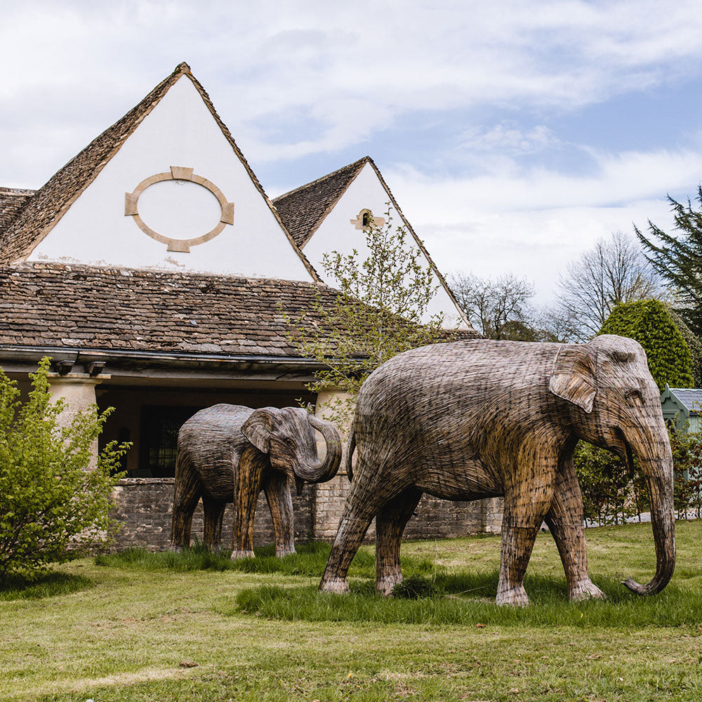 Father's Day Lunch at Highgrove