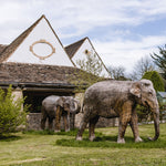 Father's Day Lunch at Highgrove