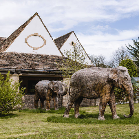 Father's Day Lunch at Highgrove