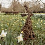'Mad March Hare' Willow Weaving Workshop 2026 (One-Day)