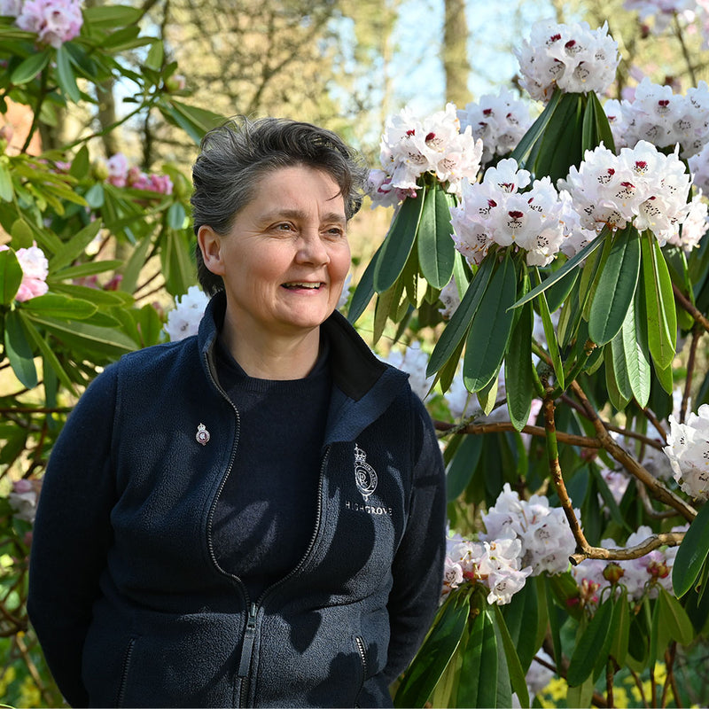 Meet the Head of Horticulture for The King's Foundation, Melissa Simpson