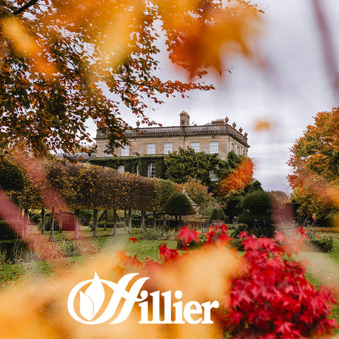 Hillier Garden Centre's Autumn Garden Walk at Highgrove 2025