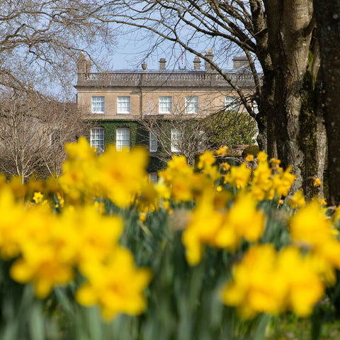 A Spring Celebration of Harmony at Highgrove: Spring Walks 2026