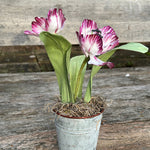 Wax Paper Tulips Workshop