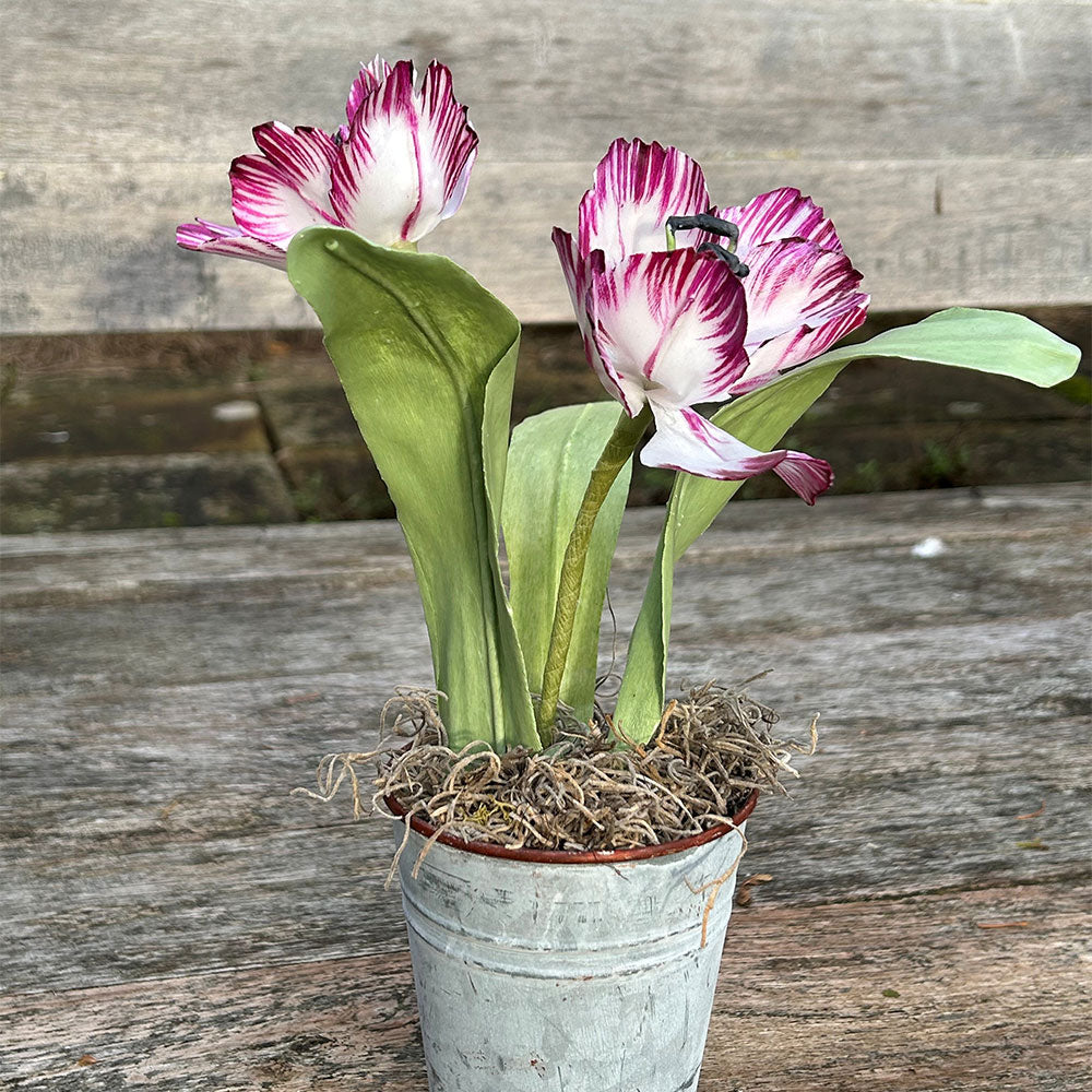 Wax Paper Tulips Workshop