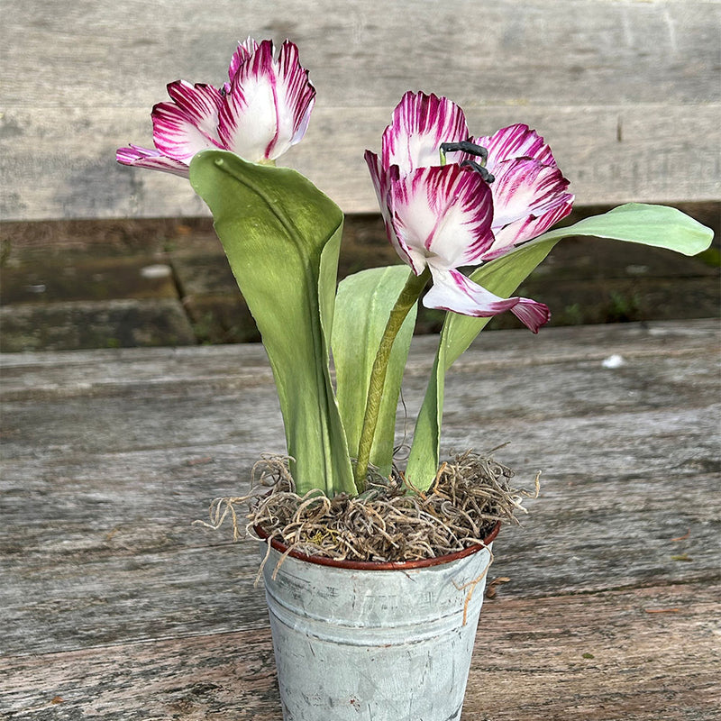 Wax Paper Tulips Workshop