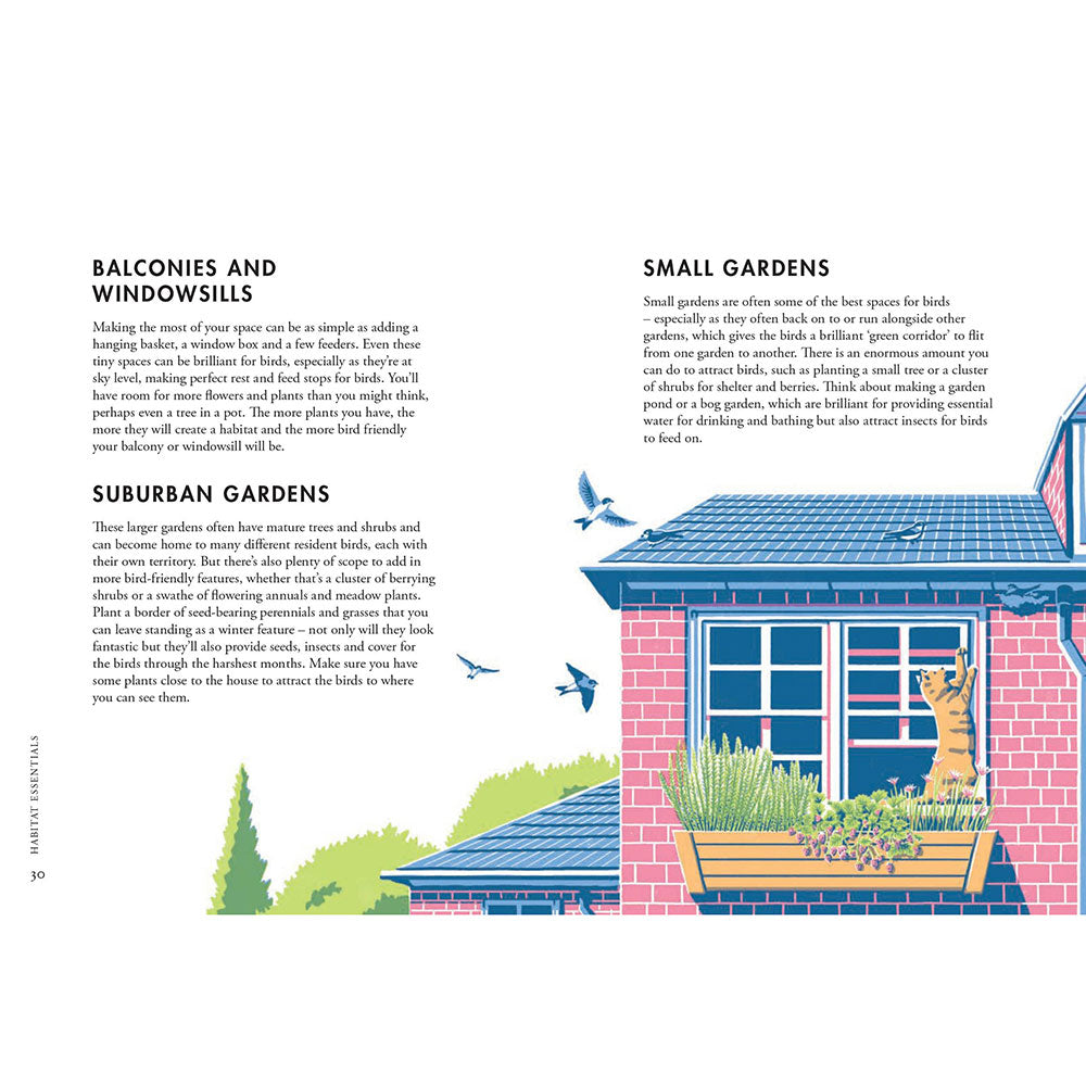 Planting for Garden Birds