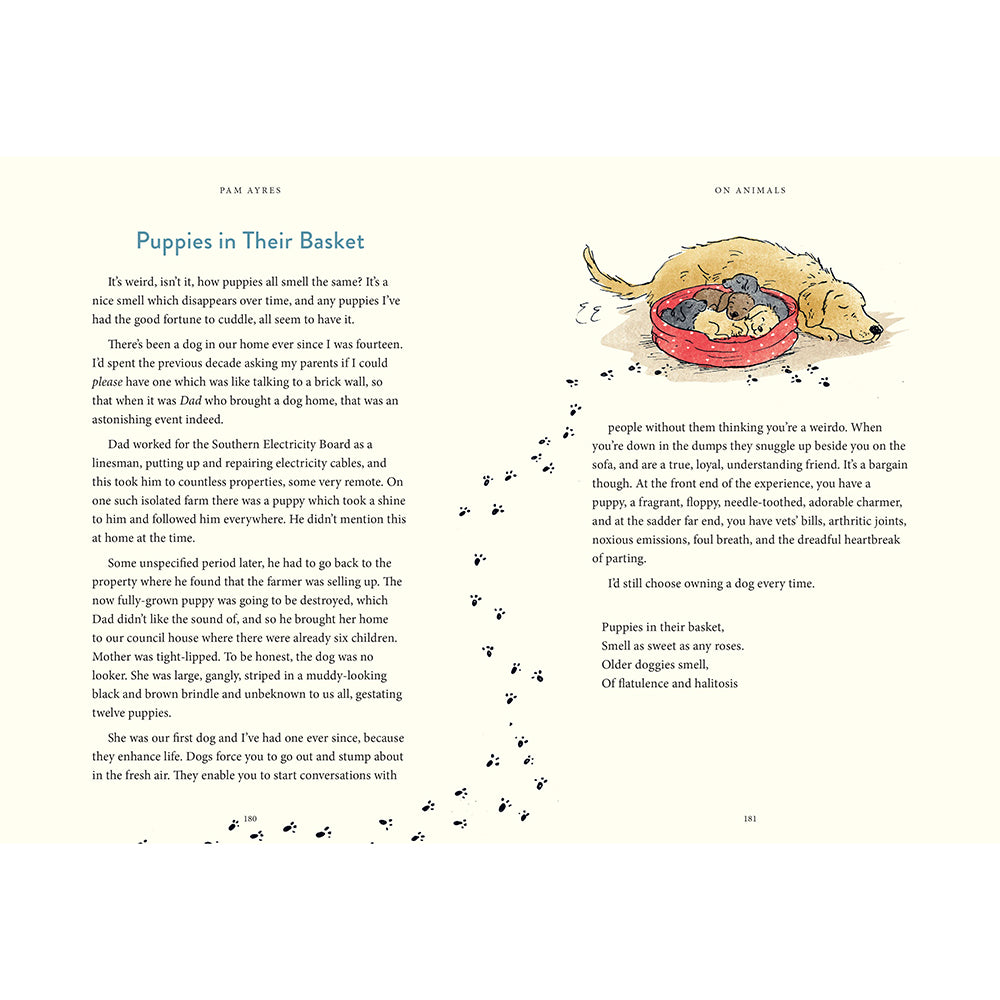 Pam Ayres on Animals Puppies in their basket