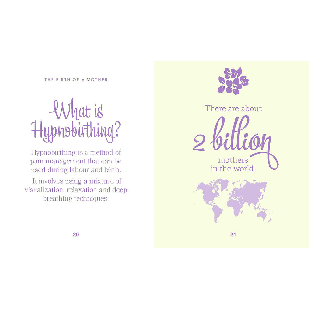 The Little Book of Mum: Little Words of Strength, Wisdom and Love The Birth of a Mother