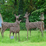 Roebuck, Roe Doe, Roe Fawn Deer Willow Sculptures