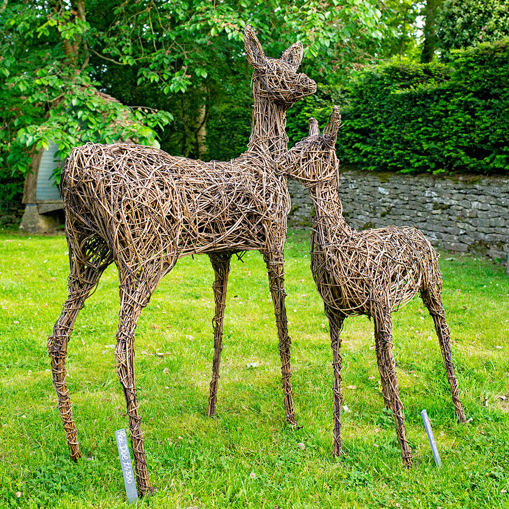 Roe Fawn Deer with Roe Doe Deer Willow Sculpture