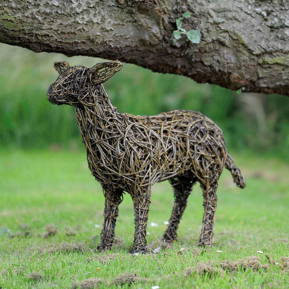 Swaledale Lamb Willow Sculpture