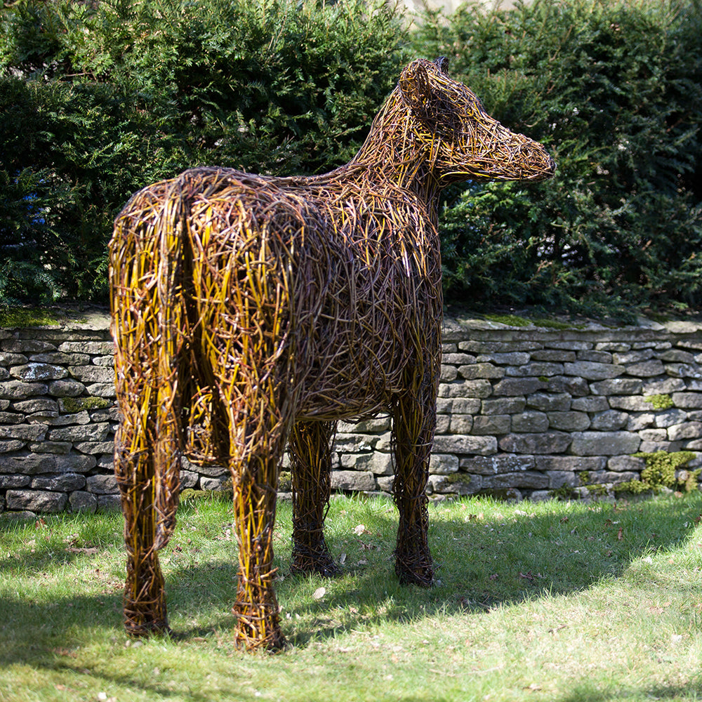 ‘Clarence’ the Irish Moiled Cow Willow Sculpture