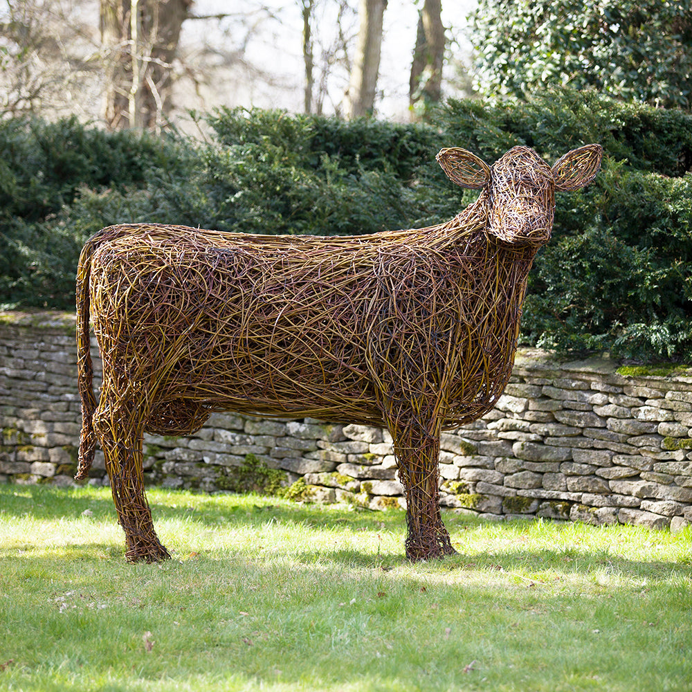 ‘Clarence’ the Irish Moiled Cow Willow Sculpture