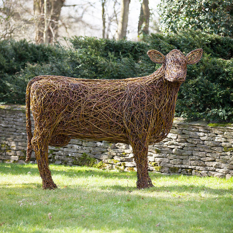 'Clarence' the Irish Moiled Cow Willow Sculpture