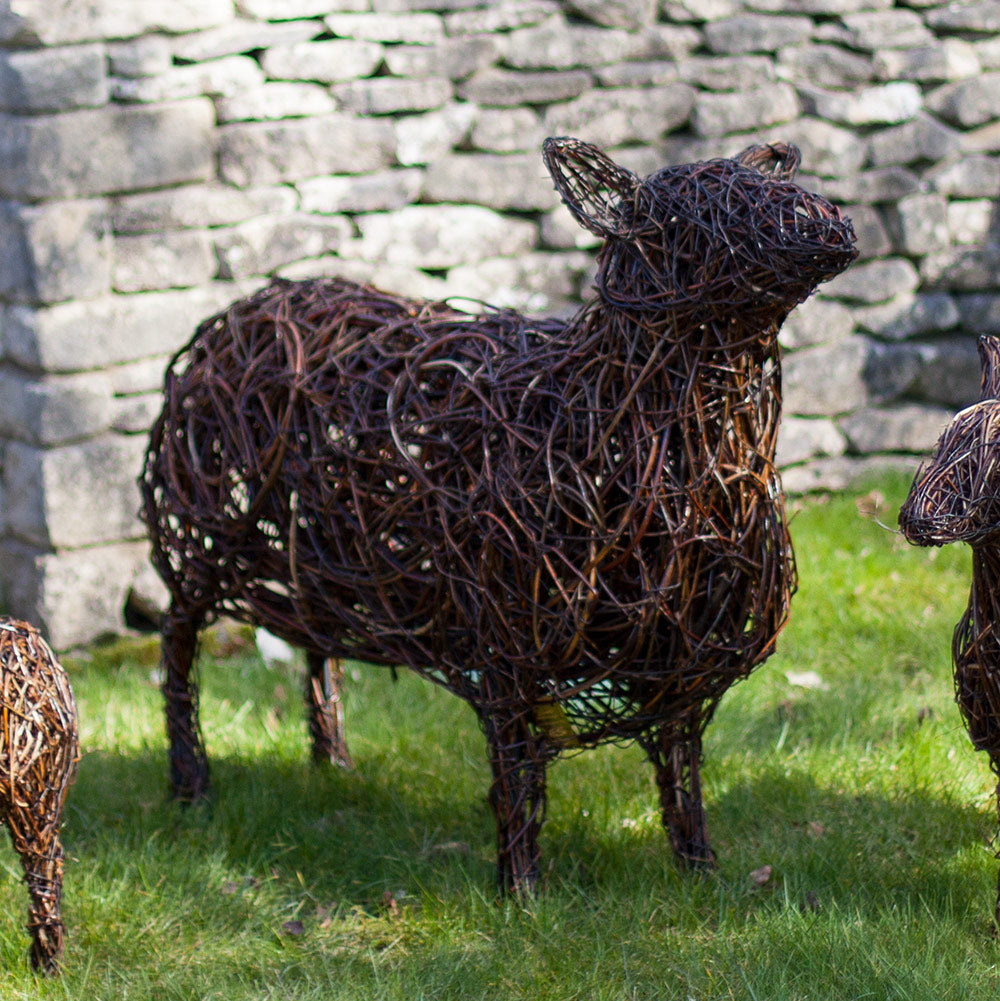 Cotswold Ewe Sheep Willow Sculpture