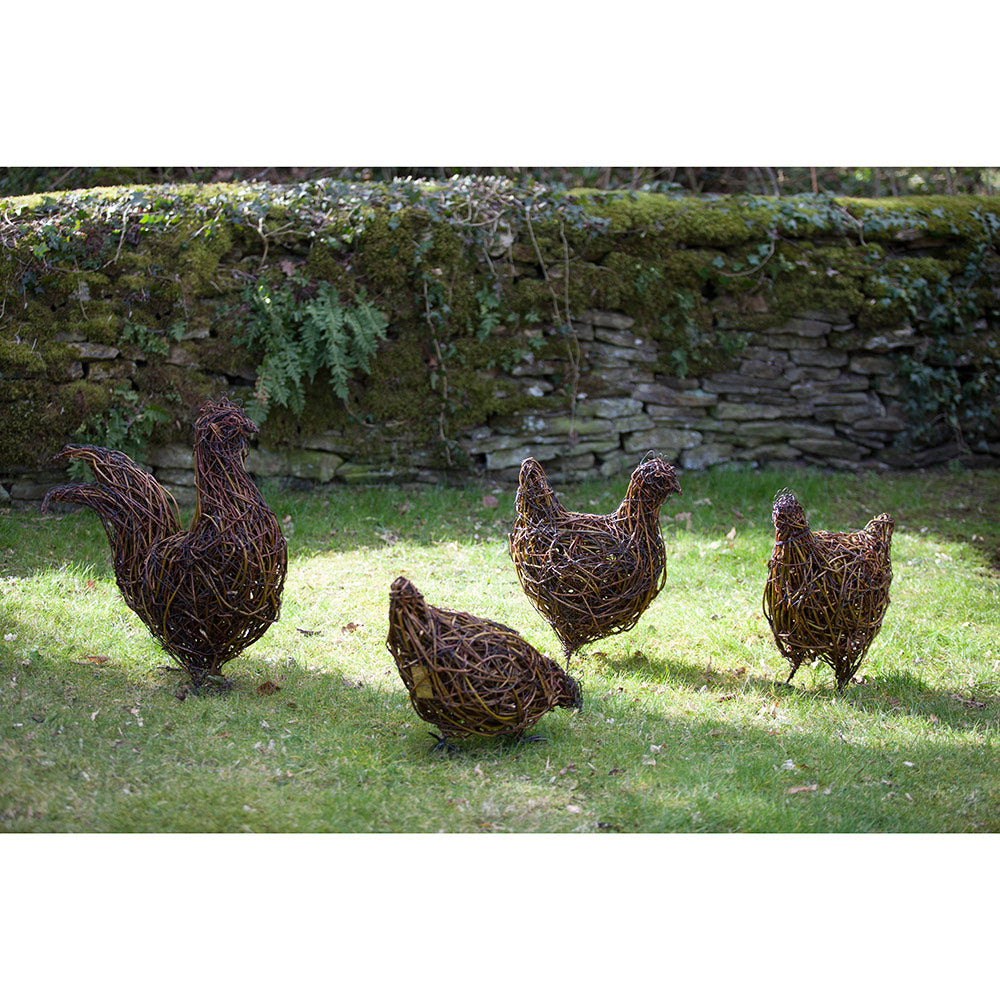 Clutch of Chattering Hens and Maran Cockerel Willow Sculptures